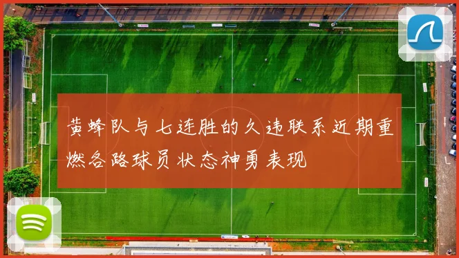黄蜂队与七连胜的久违联系近期重燃各路球员状态神勇表现