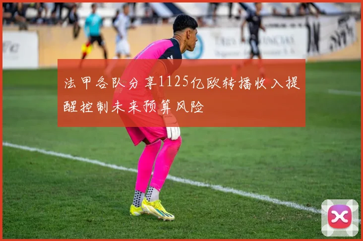 法甲各队分享1125亿欧转播收入提醒控制未来预算风险